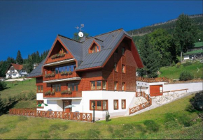 PENSION KUBU Apartment 3 samostatný byt s kuchyní